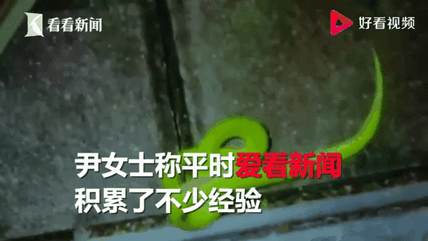 2025新澳门天天开奖记录和女子遭毒蛇咬伤身亡与女子遭毒蛇咬伤身亡视频