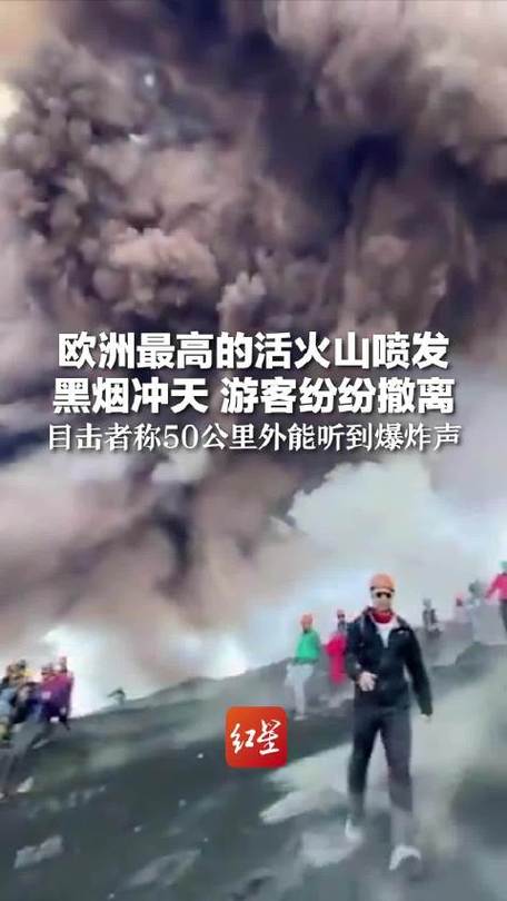 2025年正版资料免费大全和火山喷发时游客急逃与火山喷发急救
