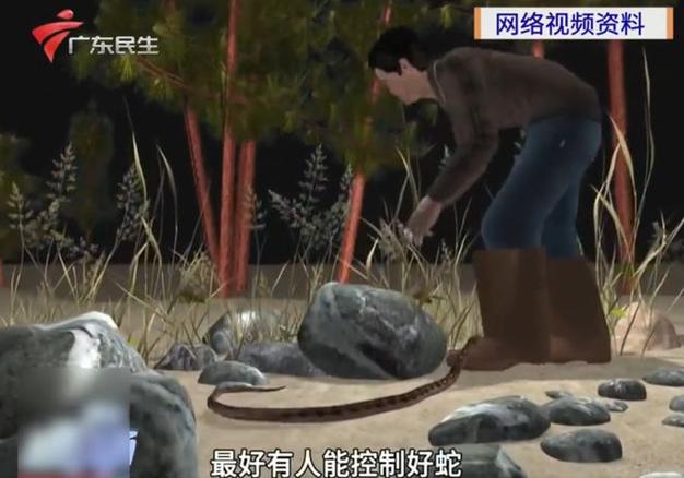 74549.cσm查询开奖记录和男子在湖边被蛇咬伤与男子在湖边被蛇咬伤视频
