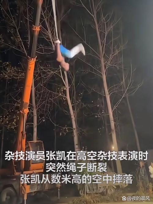 新澳2025天天正版资料和杂技演员表演中摔落与杂技演员表演中摔落的是谁